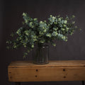 Eucalyptus Spray — main product view
