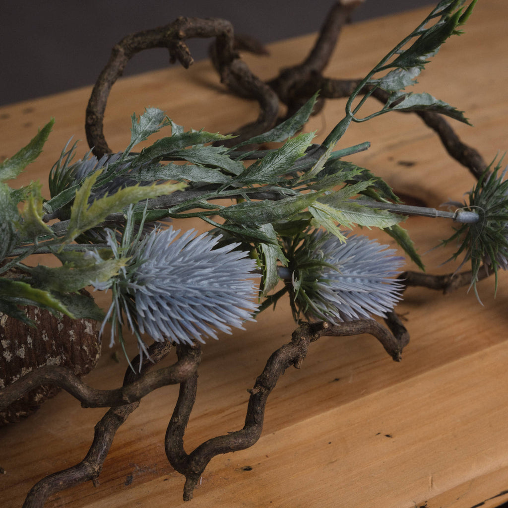 Eryngium Thistle — detail close-up grey plastic