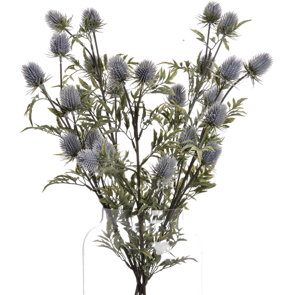 Eryngium Thistle — alternative angle grey plastic