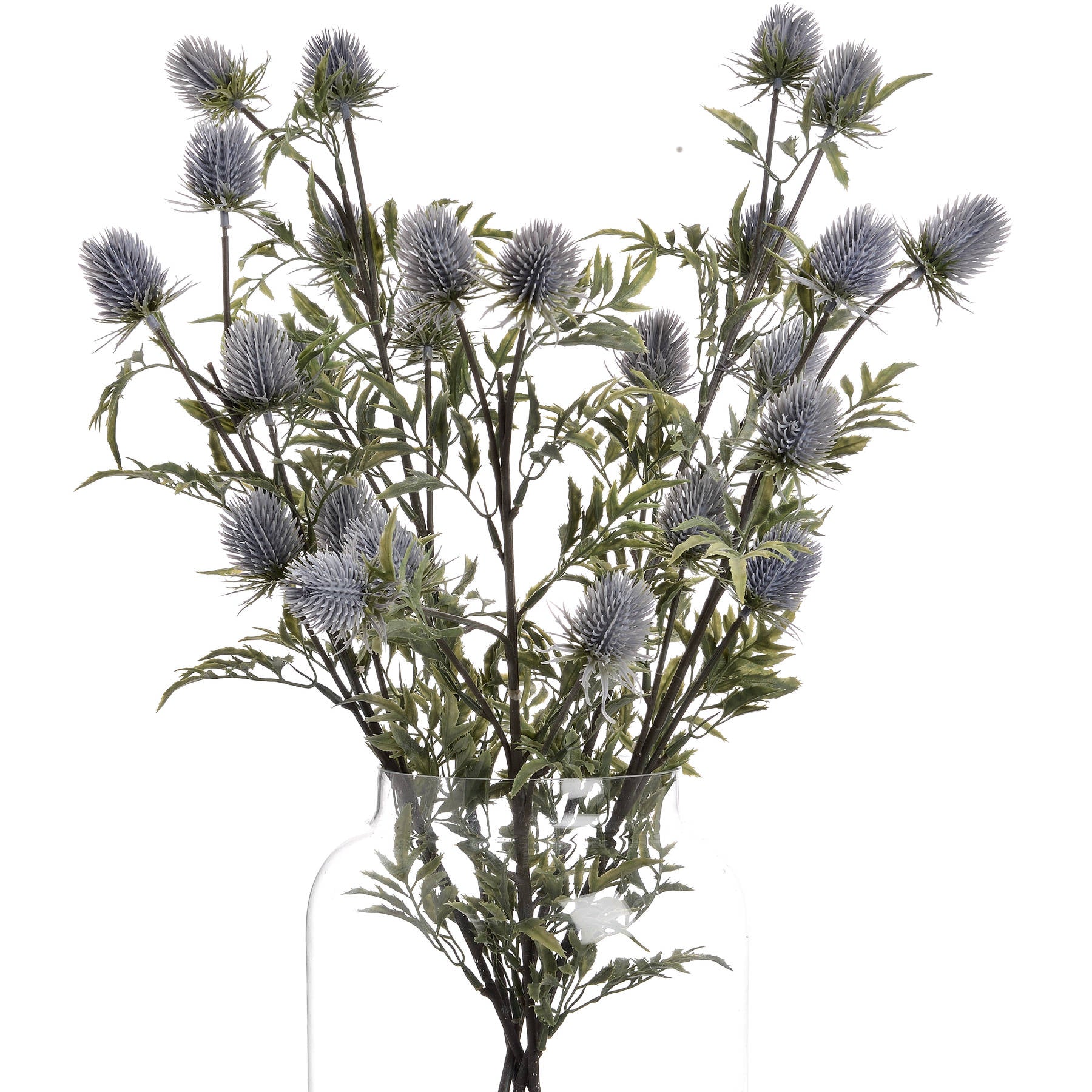Eryngium Thistle — alternative angle grey plastic
