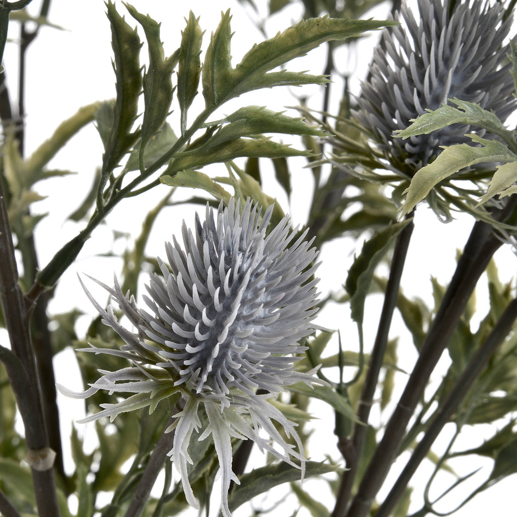 Eryngium Thistle — view 5 grey plastic