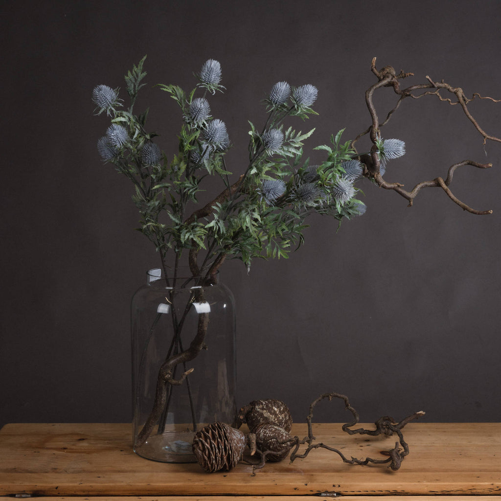 Eryngium Thistle — main product view