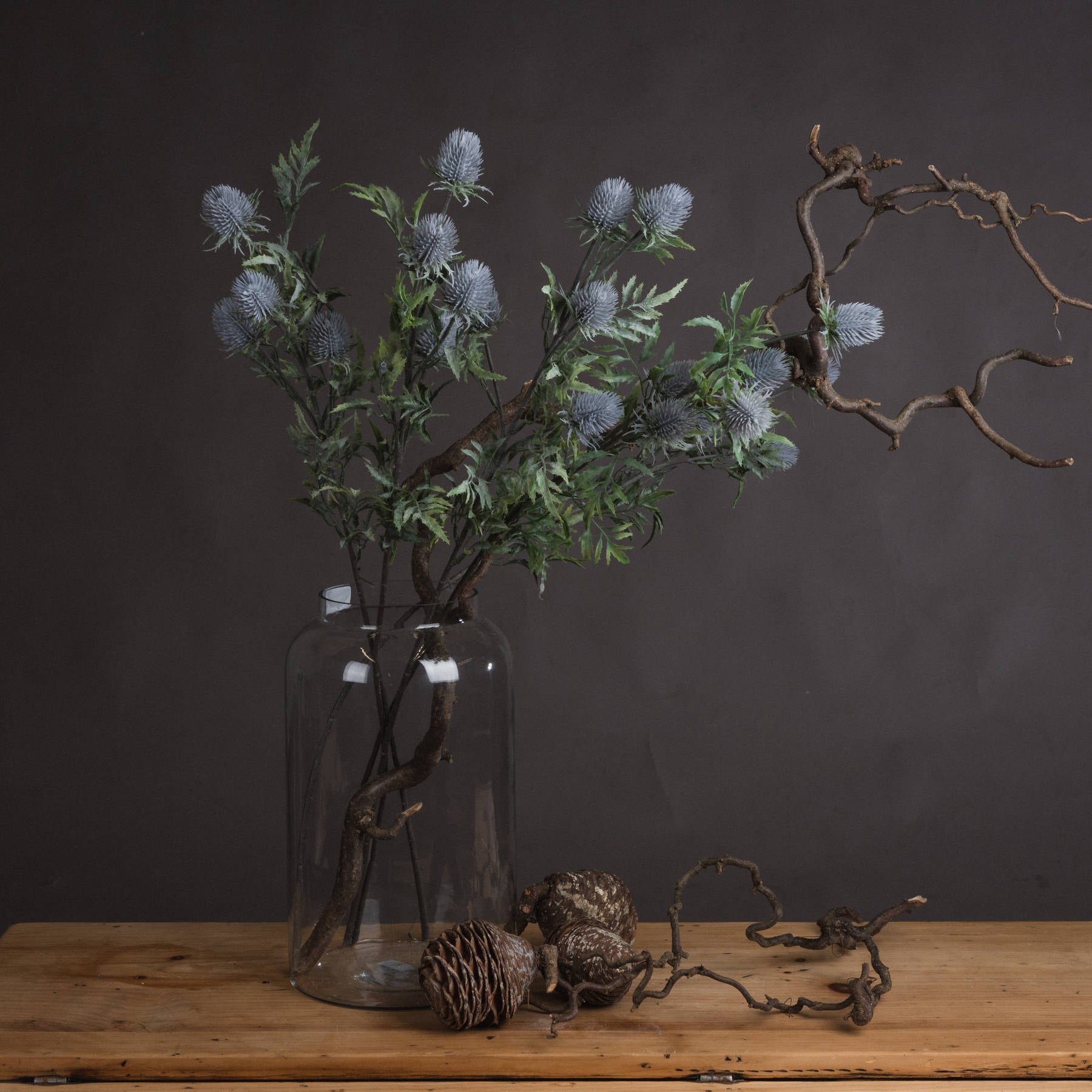 Eryngium Thistle — main product view
