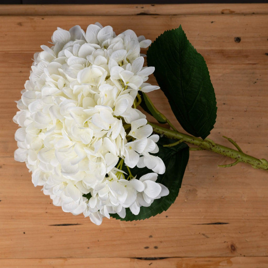 Oversized White Hydrangea — side view white plastic