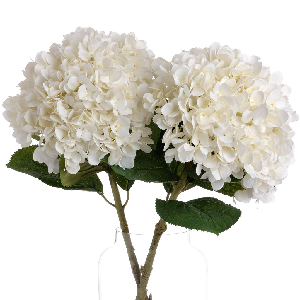 Oversized White Hydrangea — detail close-up white plastic