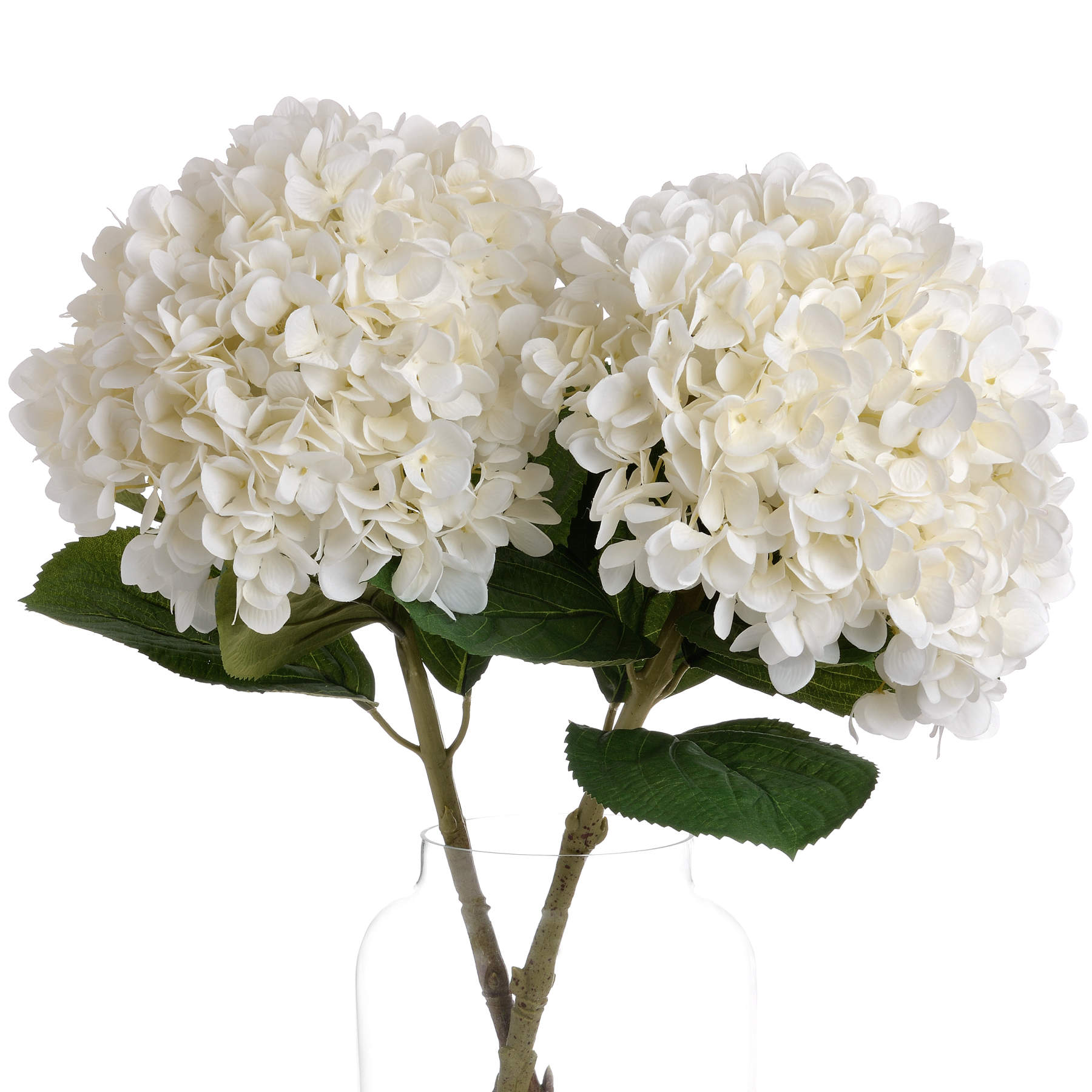 Oversized White Hydrangea — detail close-up white plastic