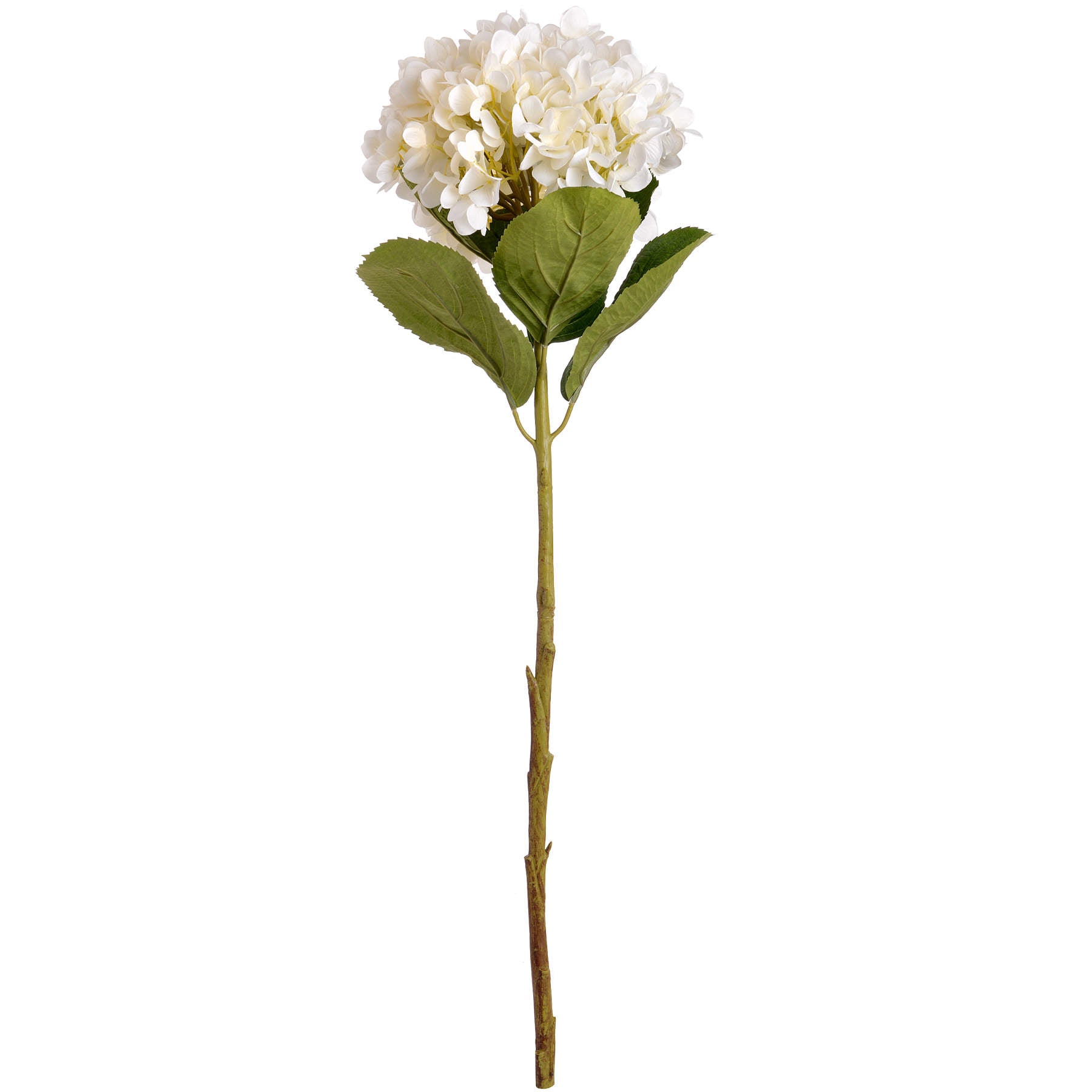 Oversized White Hydrangea — alternative angle white plastic