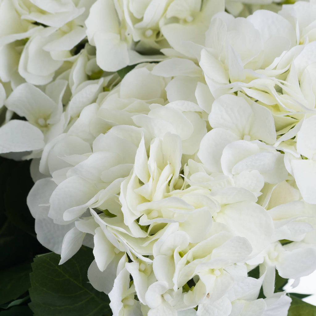 White Hydrangea Bouquet — view 5 cream plastic