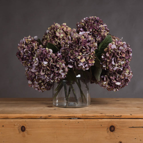 Autumn Burgundy Hydrangea — main product view