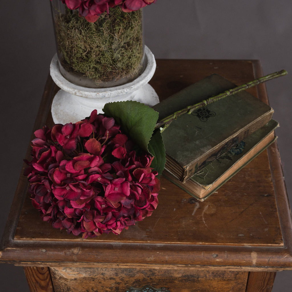 Autumn Ruby Hydrangea — side view red plastic