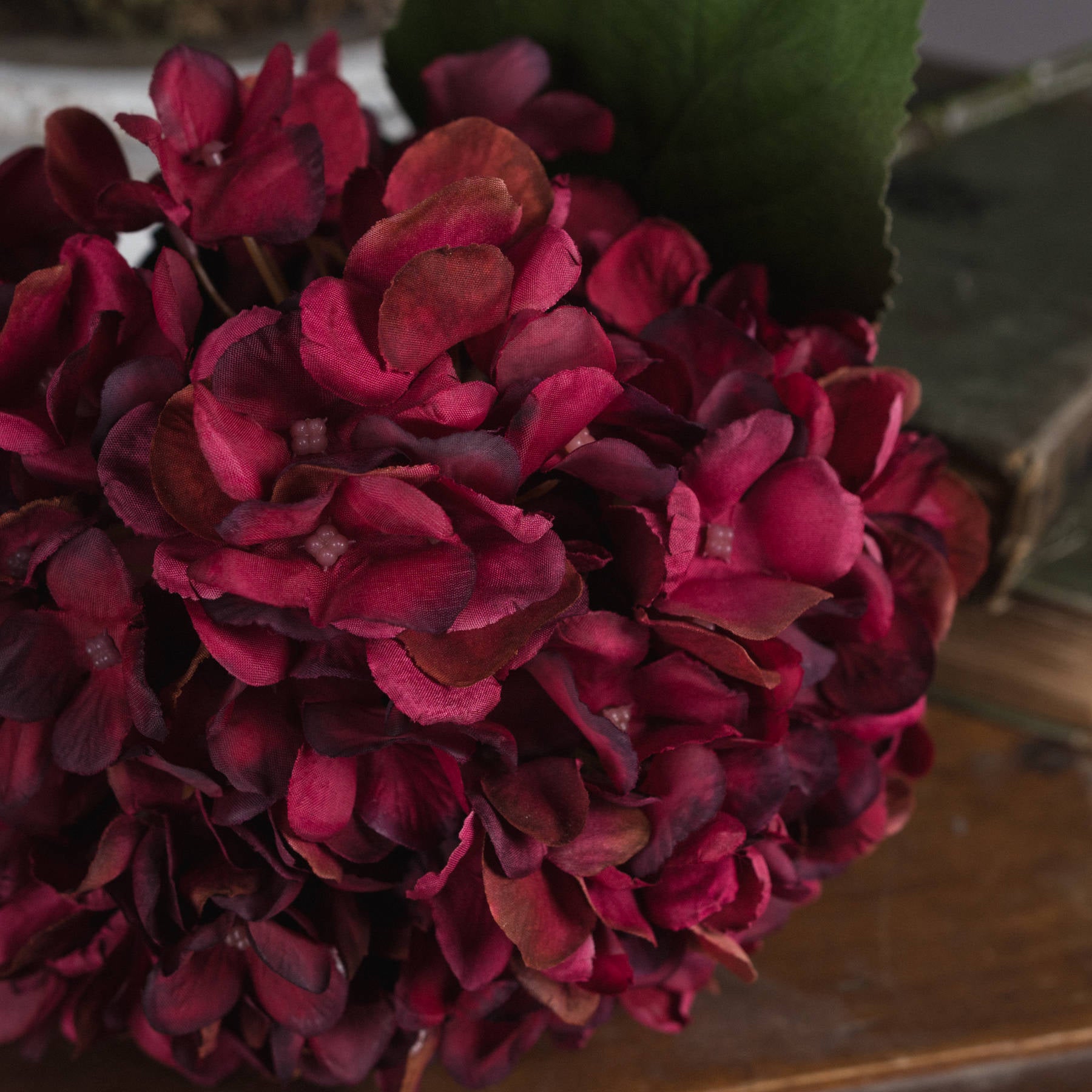Autumn Ruby Hydrangea — detail close-up red plastic
