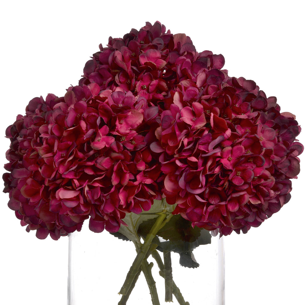 Autumn Ruby Hydrangea — alternative angle red plastic