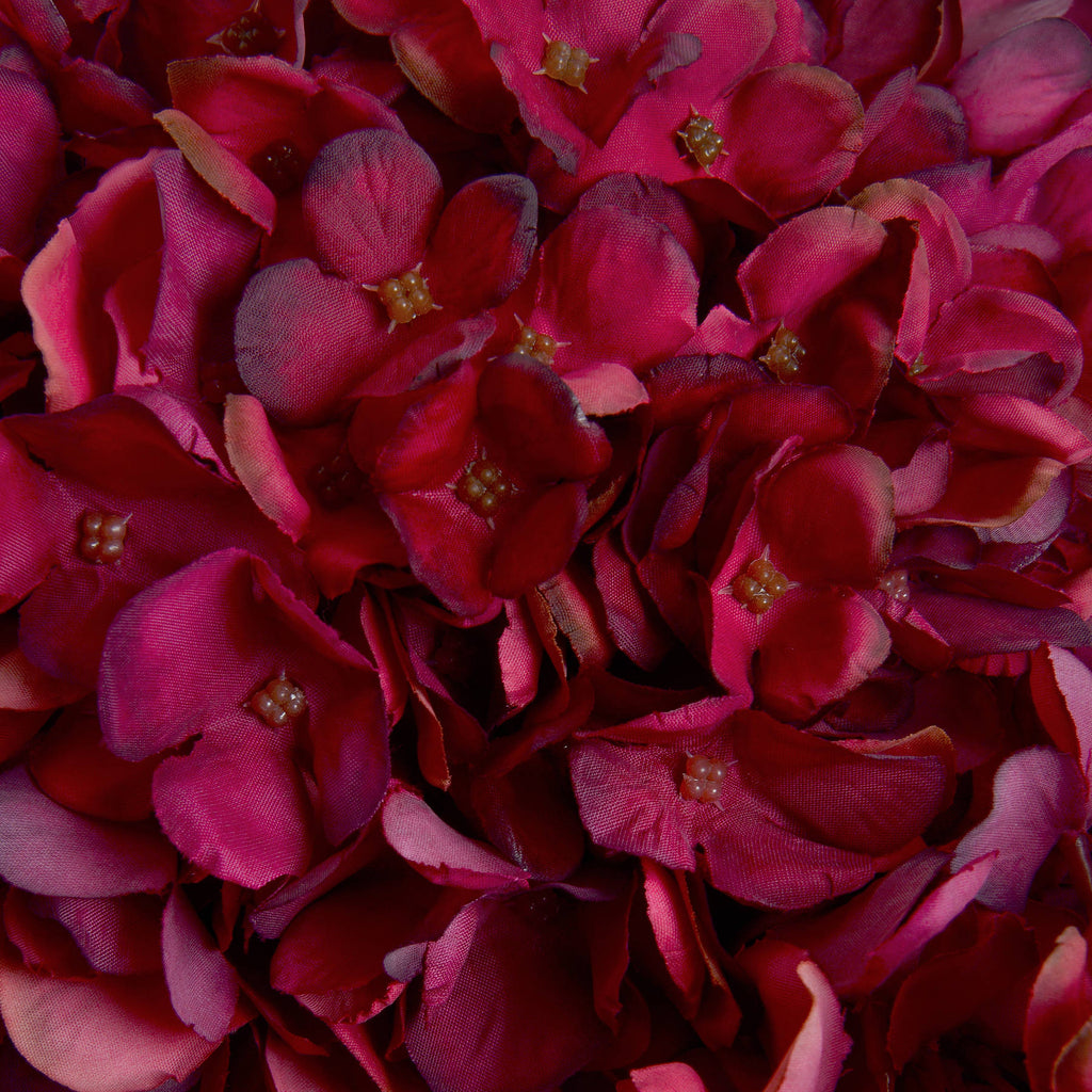 Autumn Ruby Hydrangea — view 5 red plastic