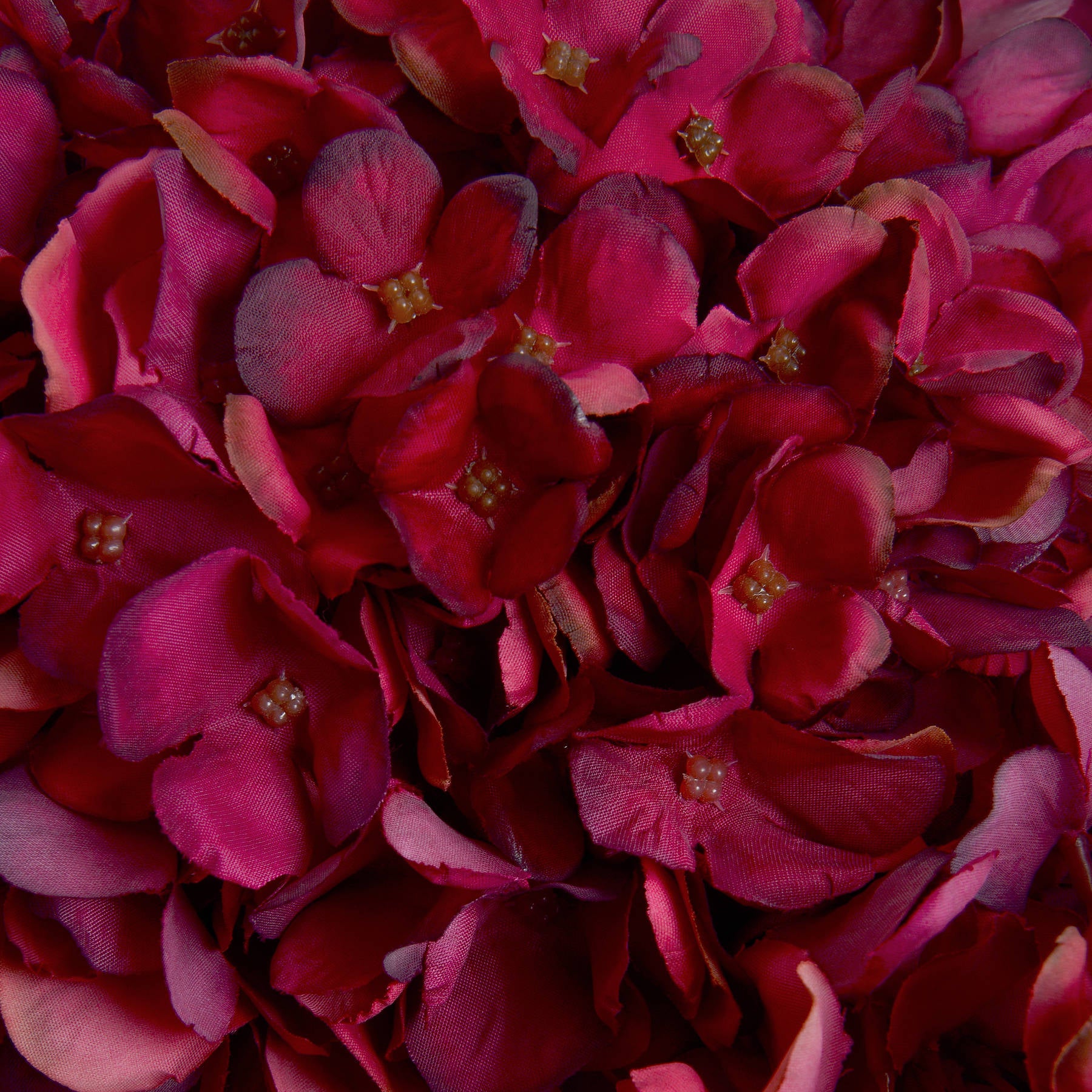 Autumn Ruby Hydrangea — view 5 red plastic