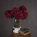 Autumn Ruby Hydrangea — main product view