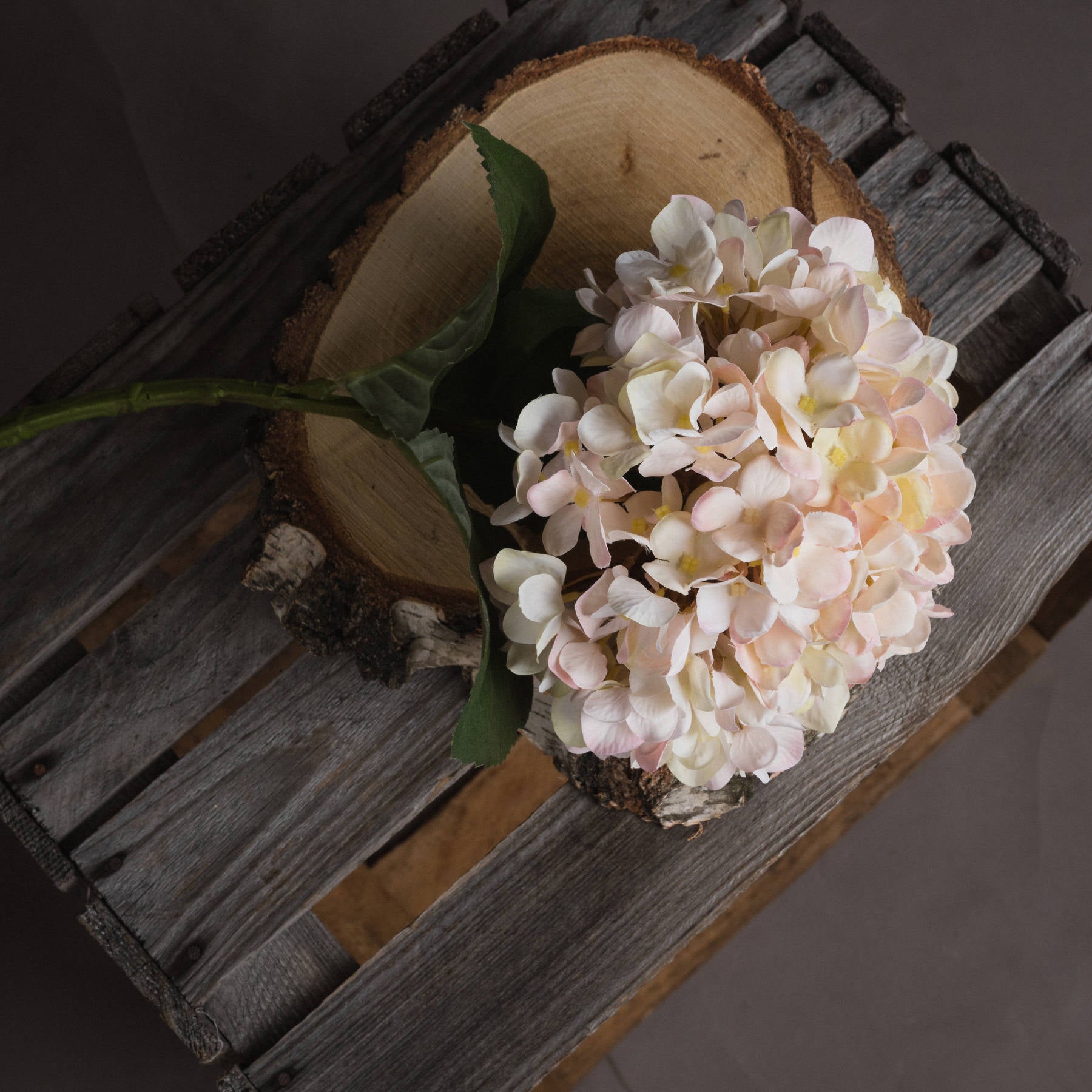 Autumn White Hydrangea — side view white plastic