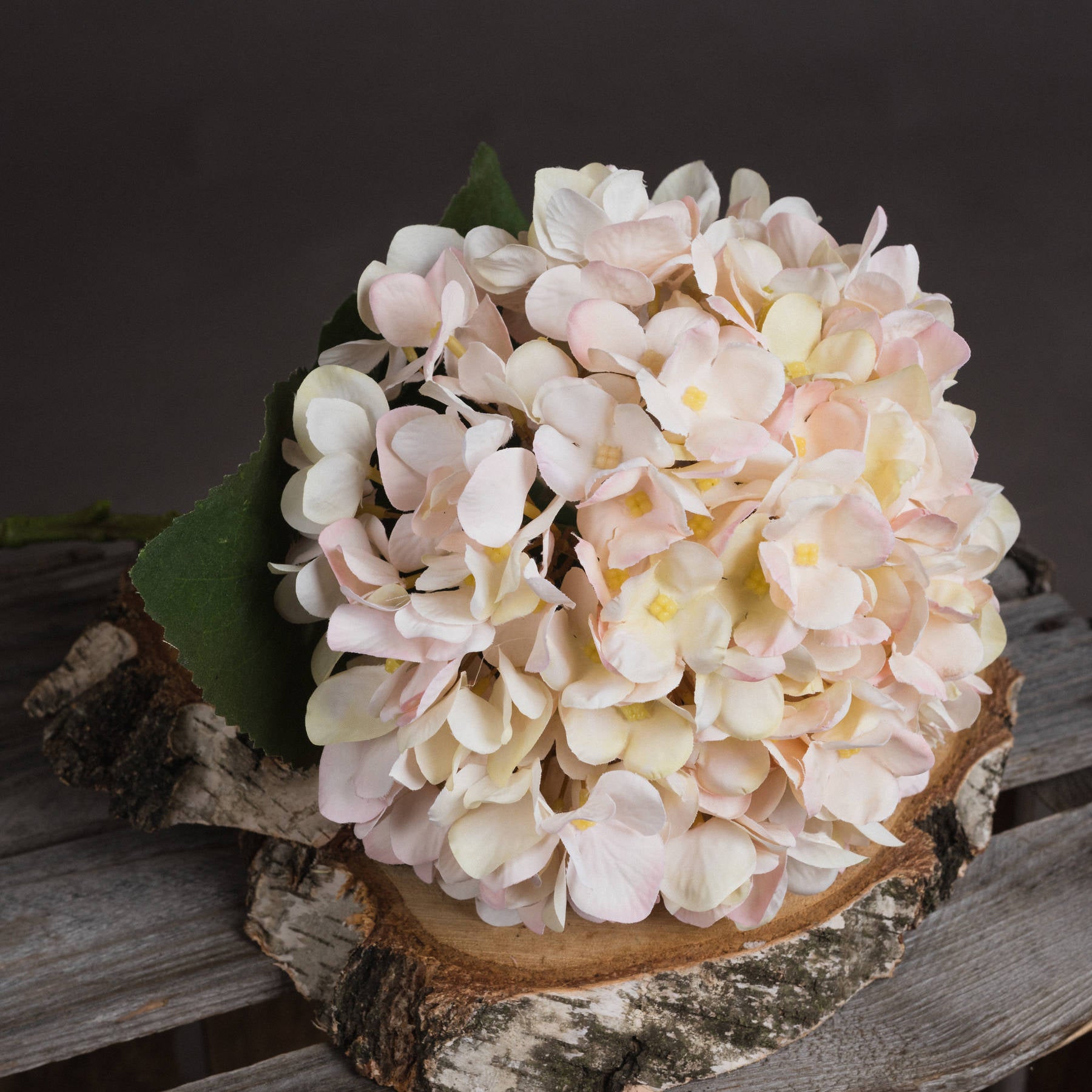 Autumn White Hydrangea — detail close-up white plastic