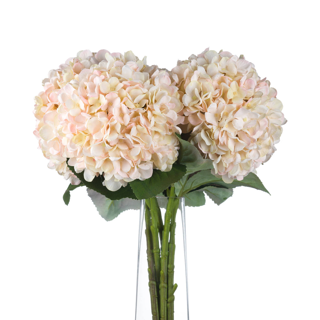 Autumn White Hydrangea — alternative angle white plastic