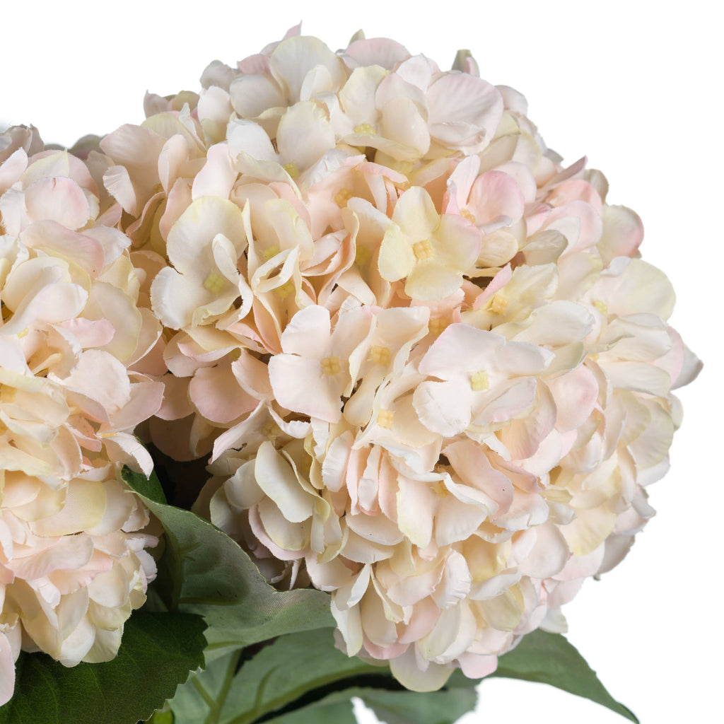 Autumn White Hydrangea — view 5 white plastic