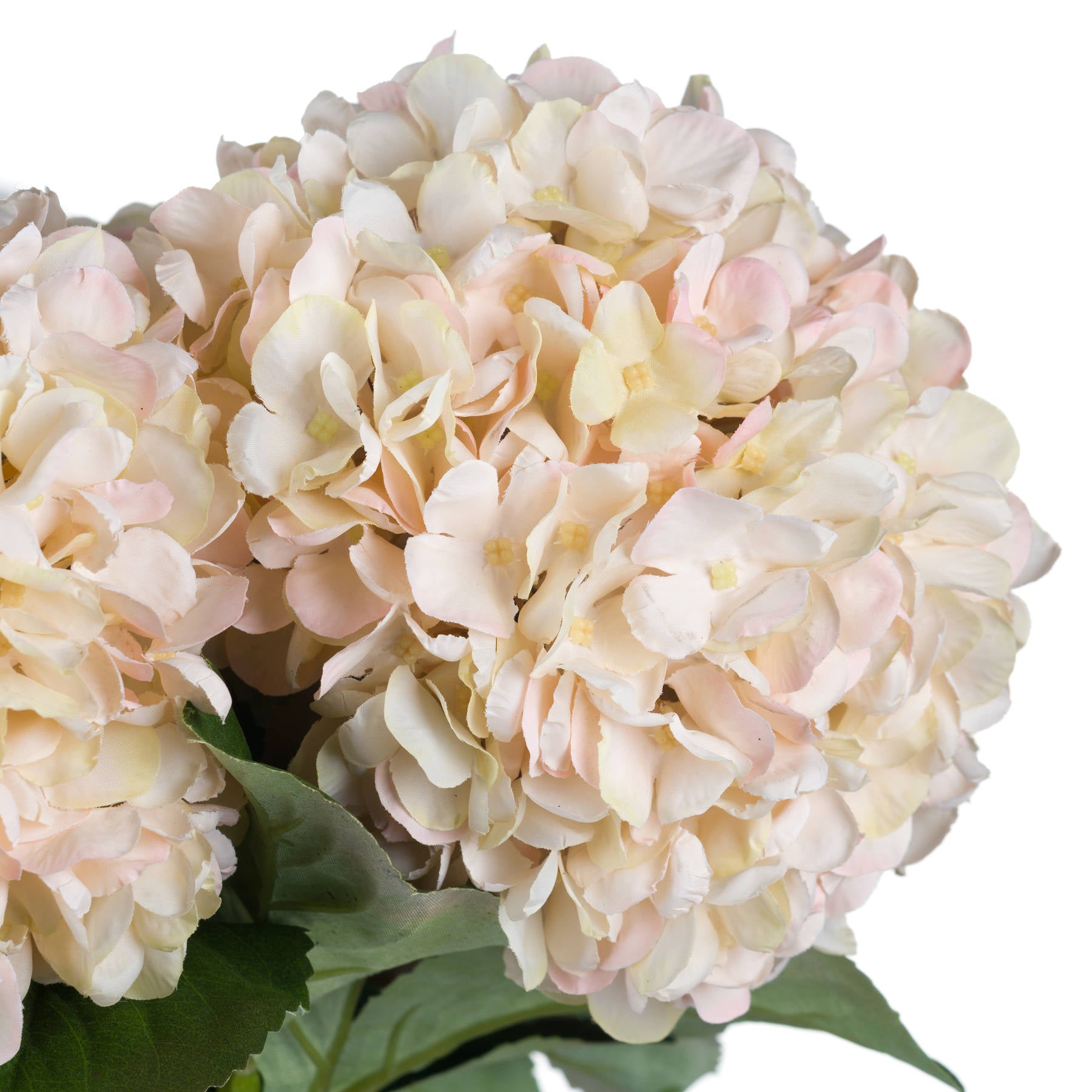 Autumn White Hydrangea — view 5 white plastic