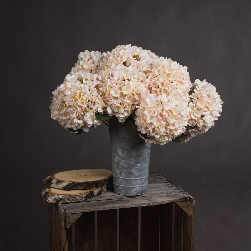 The Gisela White Arrangement component