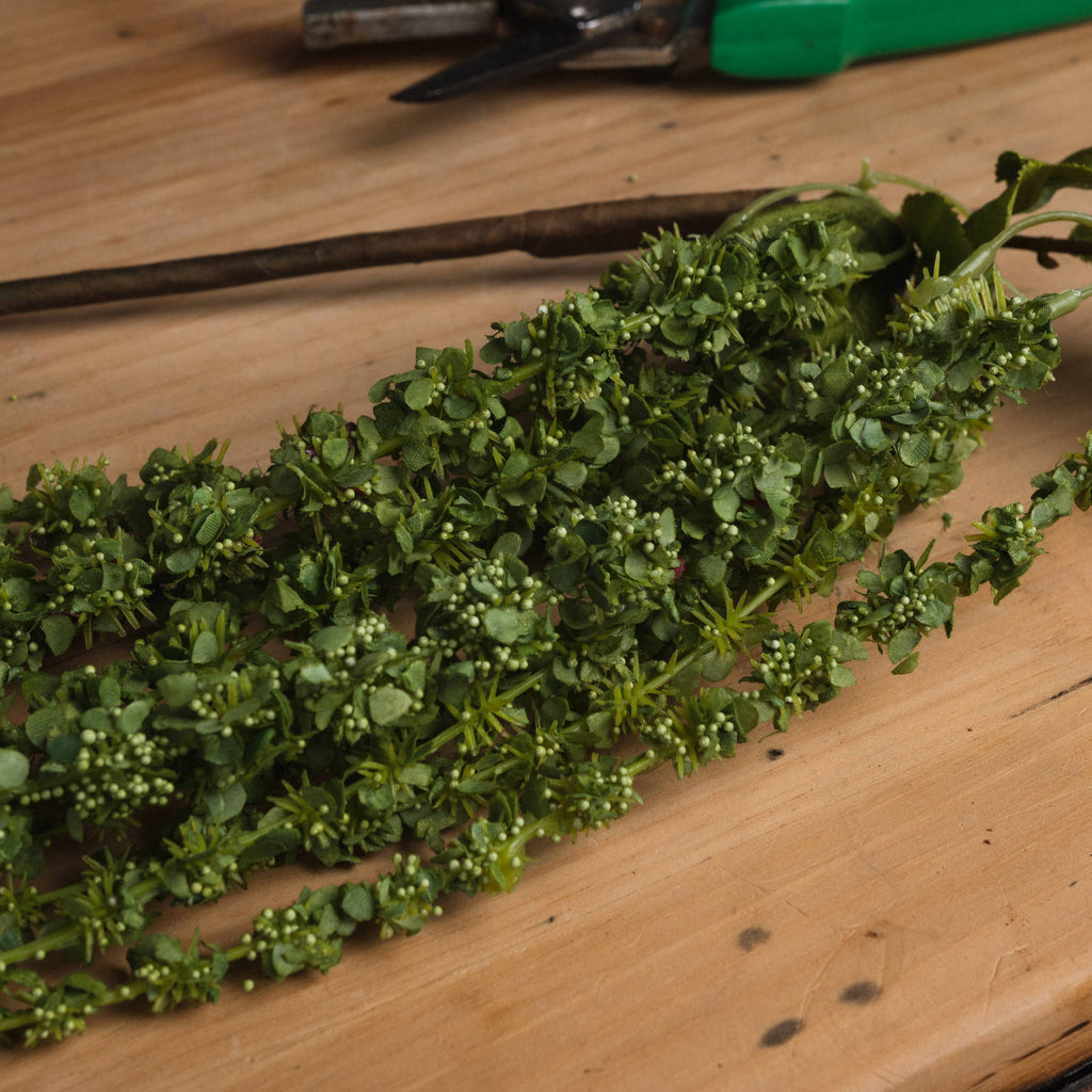 Green Amaranthus — detail close-up green plastic