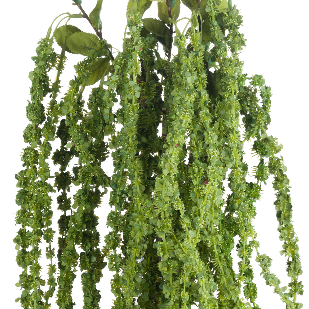 Green Amaranthus — view 5 green plastic