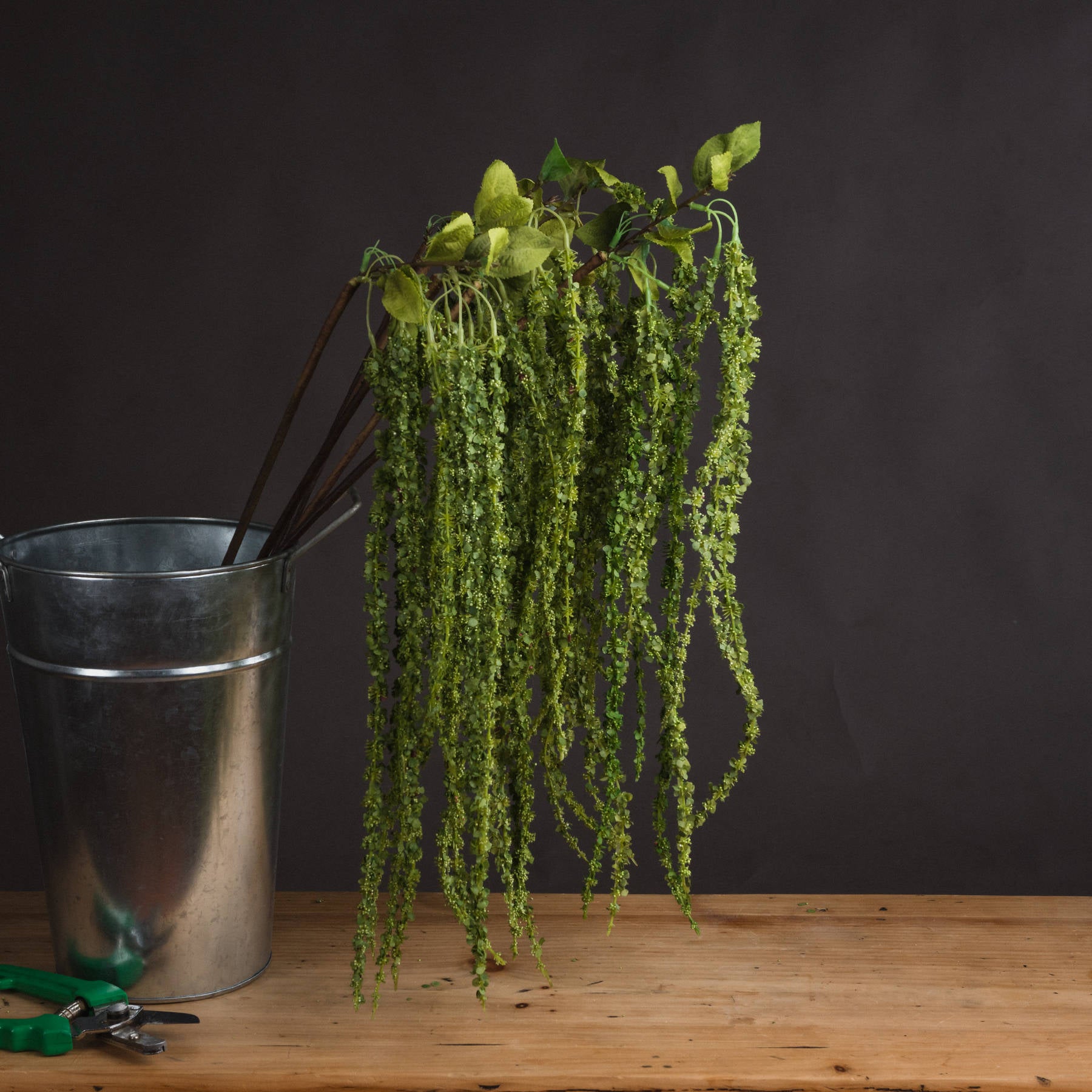 Green Amaranthus — main product view