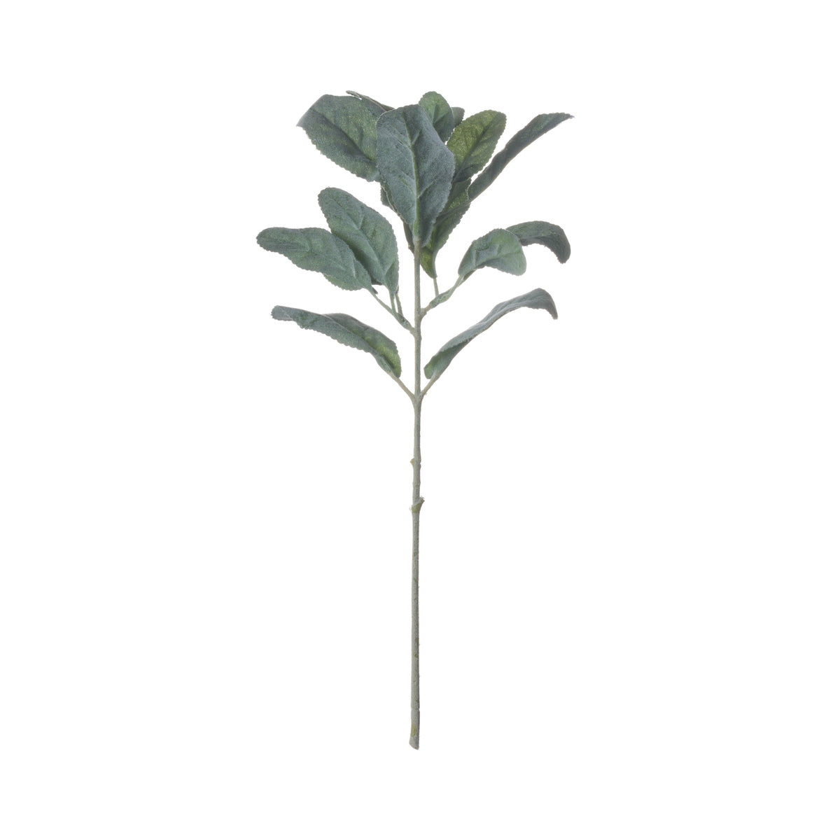 Artificial Lambs Ear spray: 1 included in The Remembrance Posy