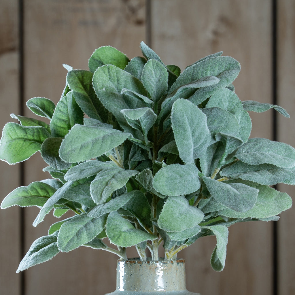 Artificial Lambs Ear Spray, included in The Blue Flora Snowy Woodland Arrangement