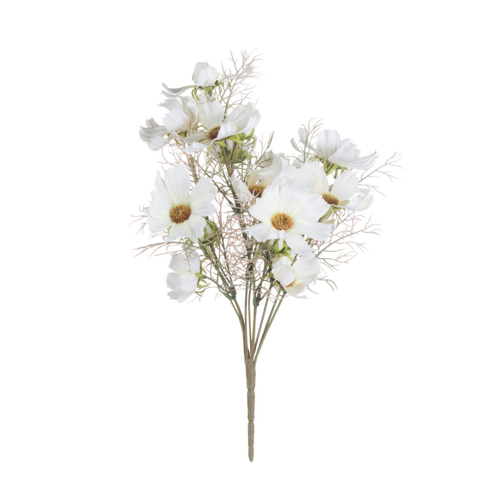 Cream Cosmos Spray — alternative angle cream plastic
