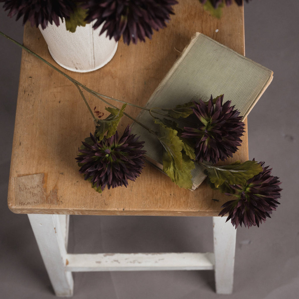 Chocolate Chrysanthemum — side view brown plastic