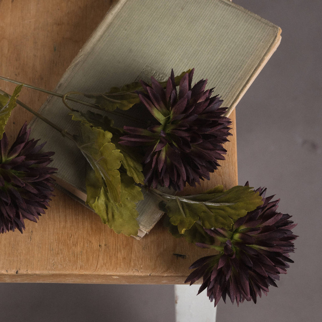 Chocolate Chrysanthemum — detail close-up brown plastic