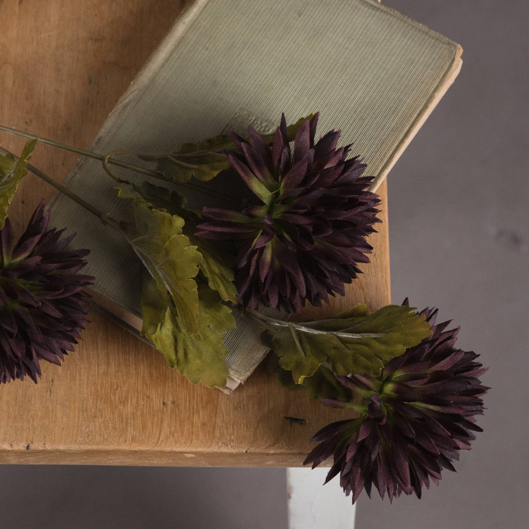 Chocolate Chrysanthemum — detail close-up brown plastic