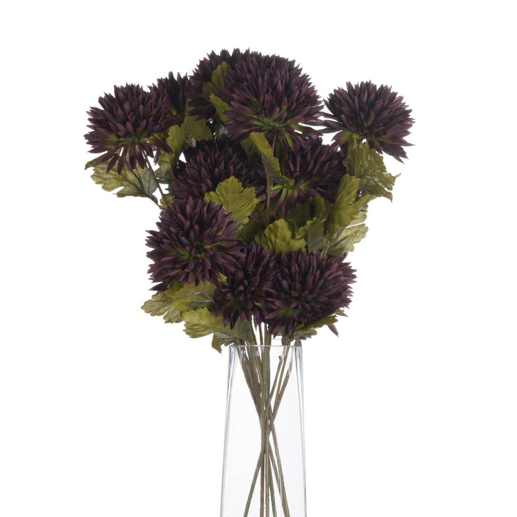 Chocolate Chrysanthemum — alternative angle brown plastic