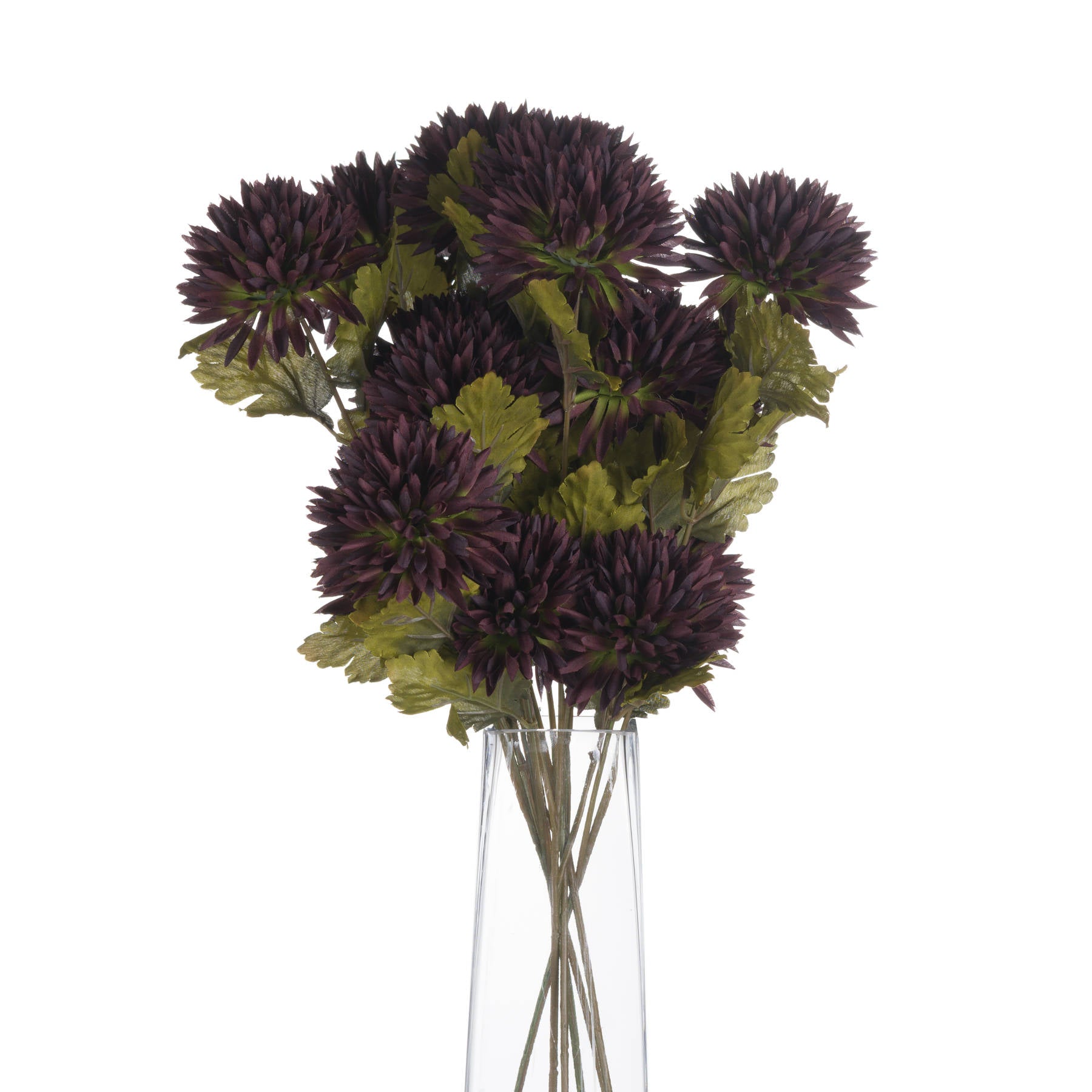 Chocolate Chrysanthemum — alternative angle brown plastic