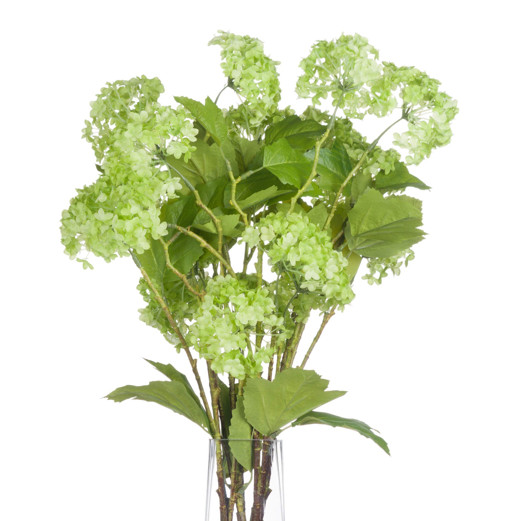 Green Viburnum Spray — detail close-up green plastic