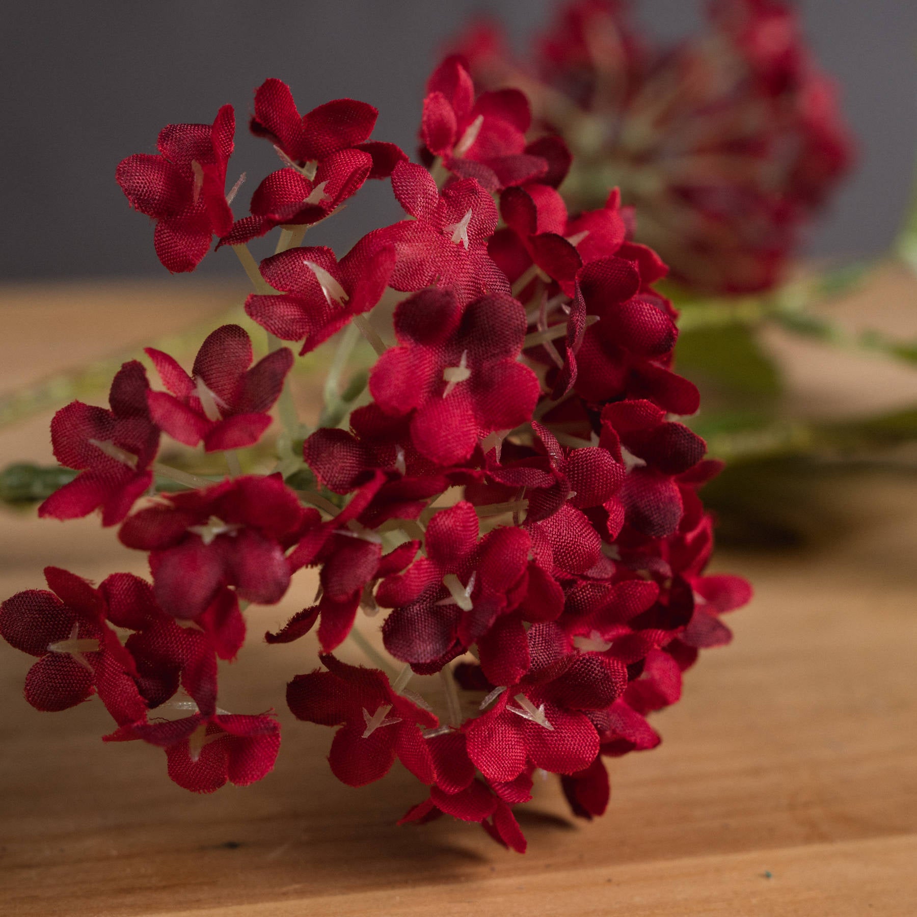 Red Autumnal Viburnum — detail close-up red plastic