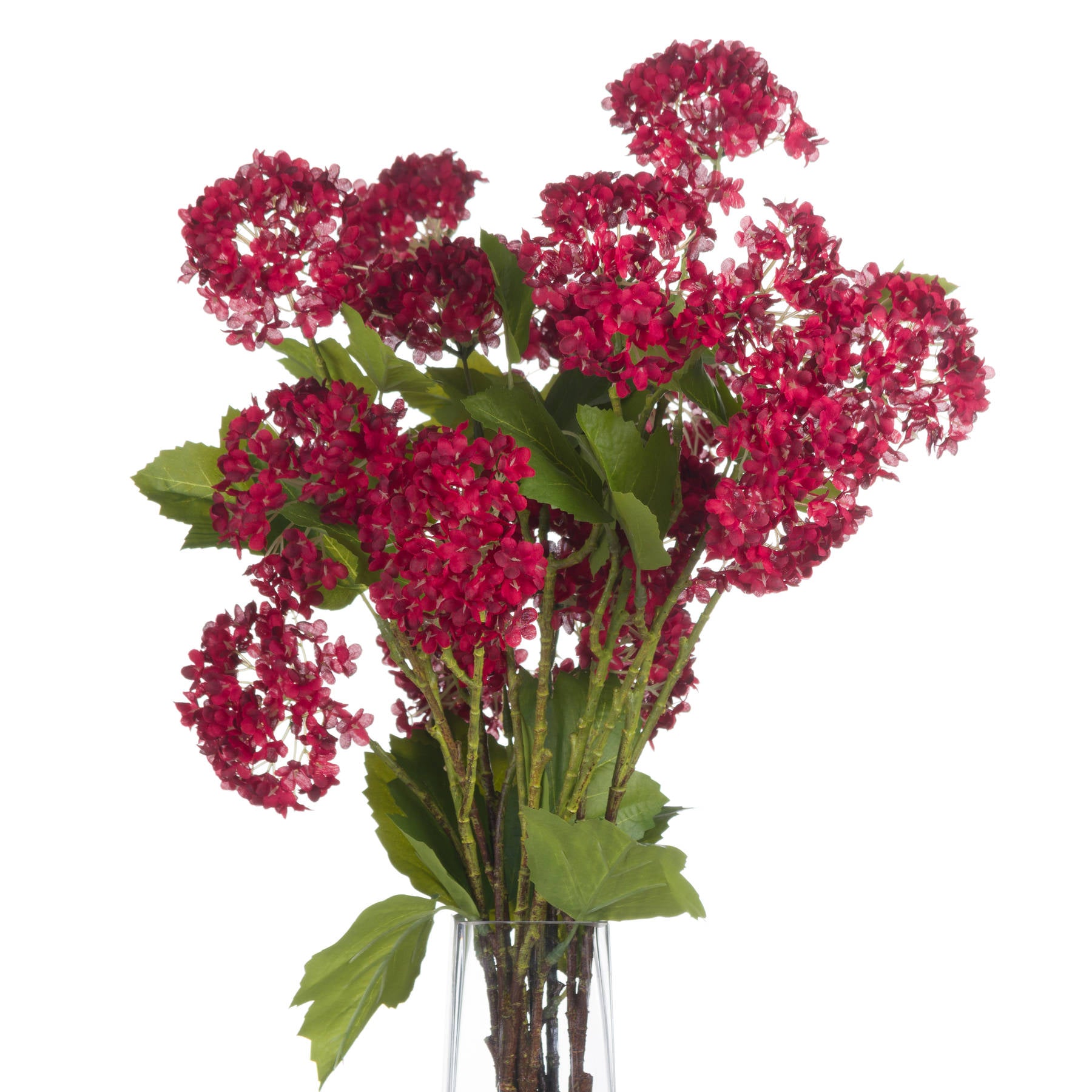 Red Autumnal Viburnum — alternative angle red plastic