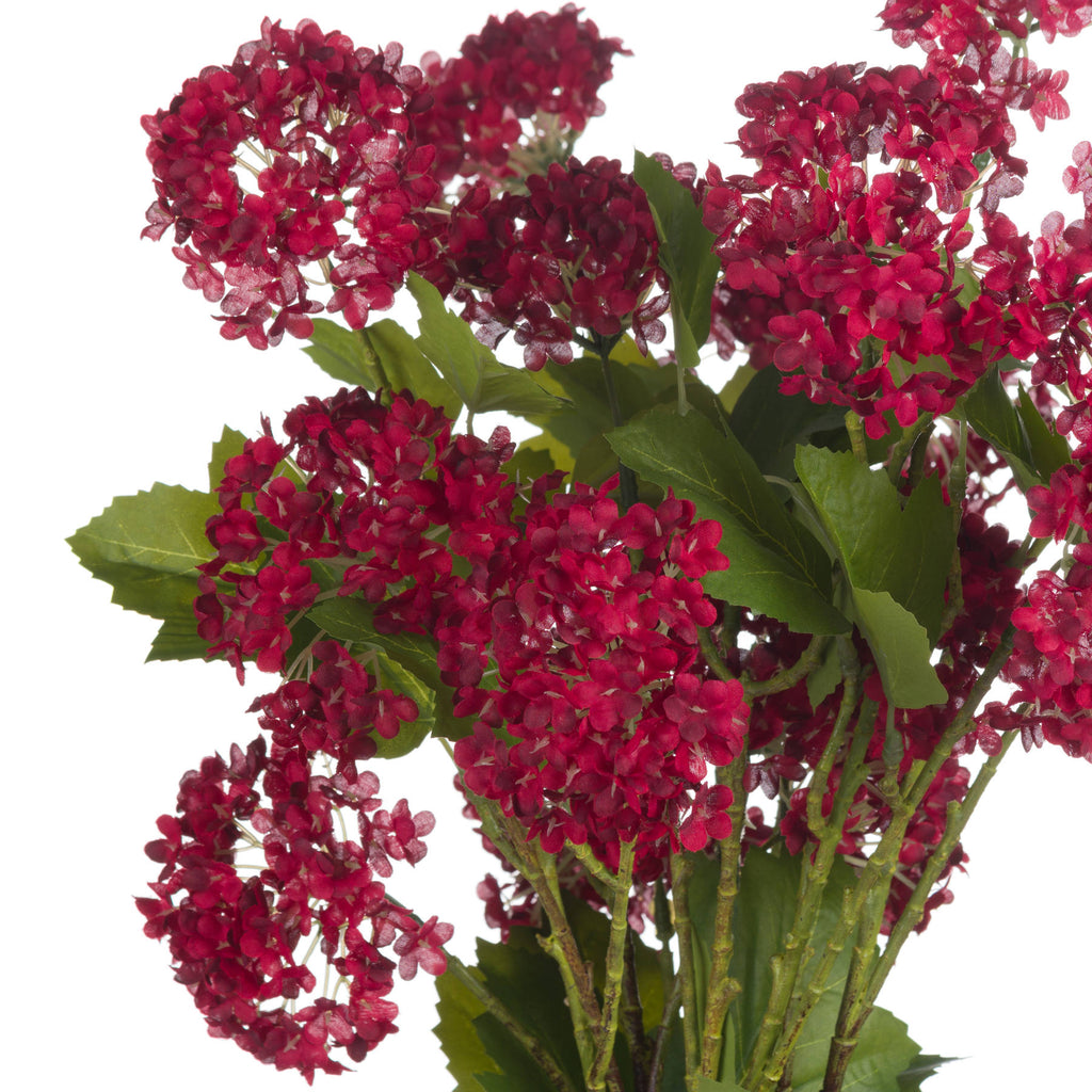 Red Autumnal Viburnum — view 5 red plastic