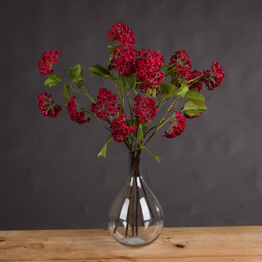 Red Autumnal Viburnum — main product view