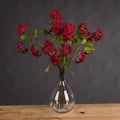 Red Autumnal Viburnum — main product view