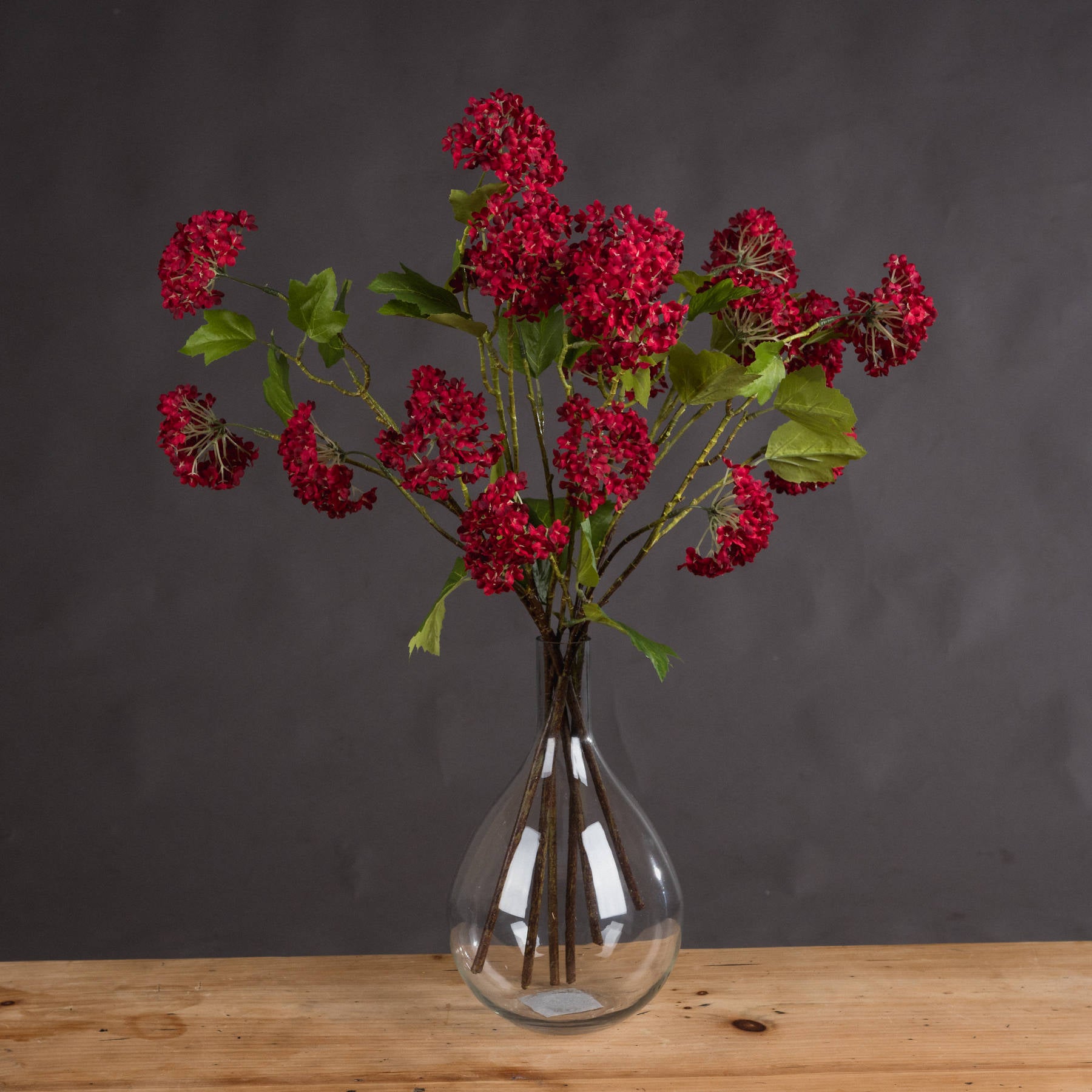 Red Autumnal Viburnum — main product view