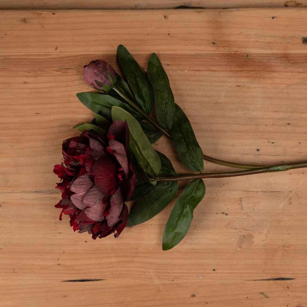Burgundy Peony Rose — side view red plastic