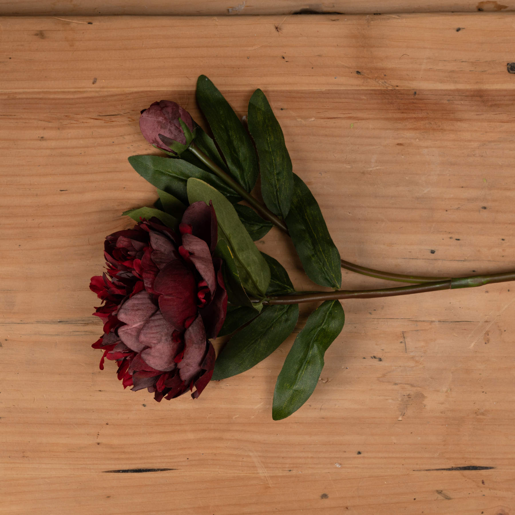 Burgundy Peony Rose — side view red plastic