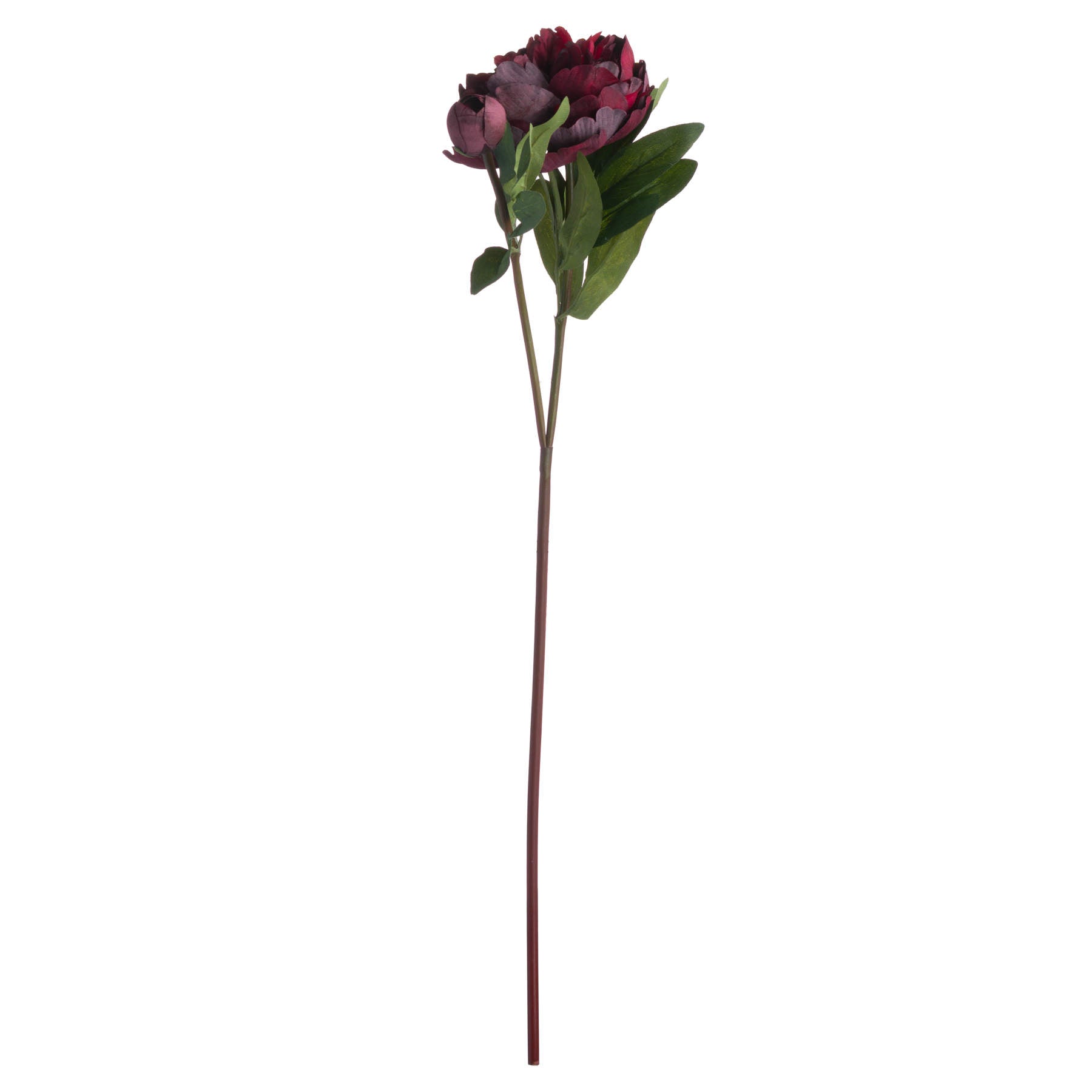Burgundy Peony Rose — alternative angle red plastic