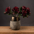 Burgundy Peony Rose — main product view