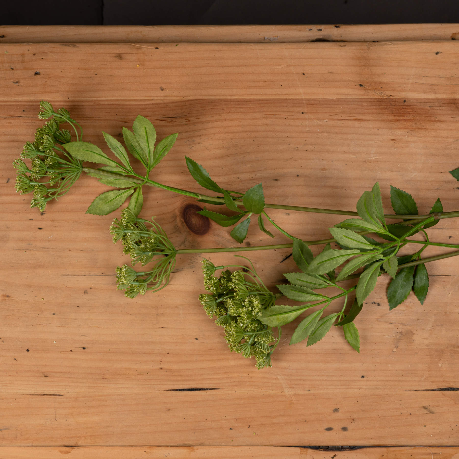 Faux Cow Parsley Ammi — side view green plastic