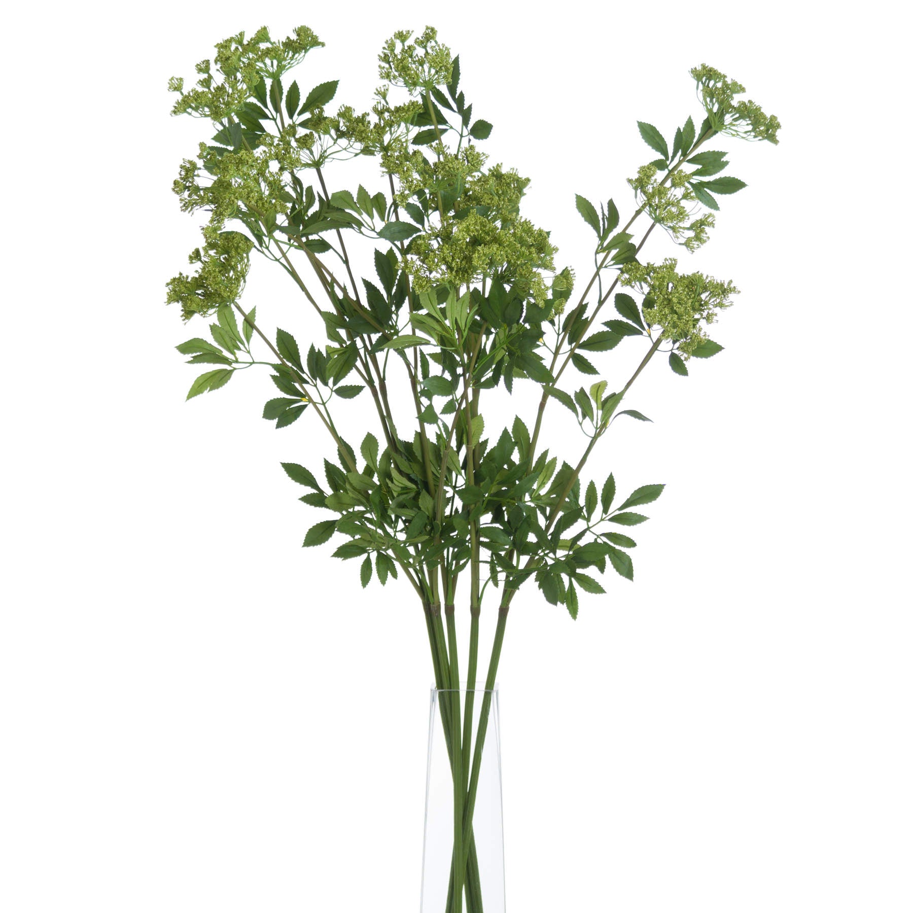 Faux Cow Parsley Ammi — detail close-up green plastic
