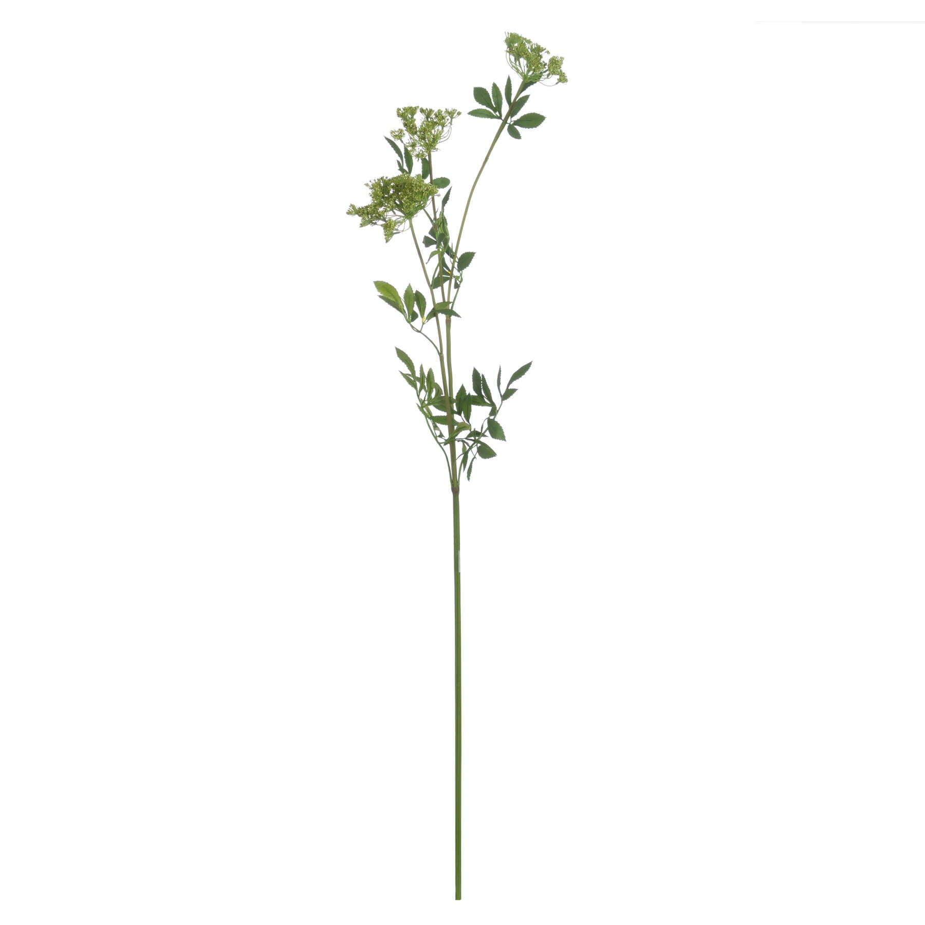 Faux Cow Parsley Ammi — alternative angle green plastic